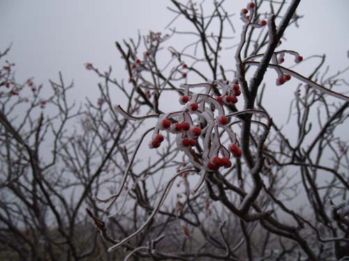 c0122670_14335995.jpg