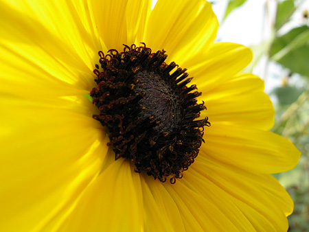 c0104371_10103839.jpg