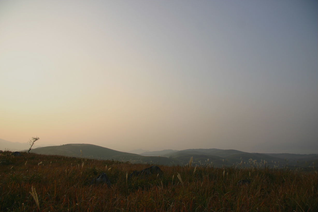 e0018678_2148249.jpg