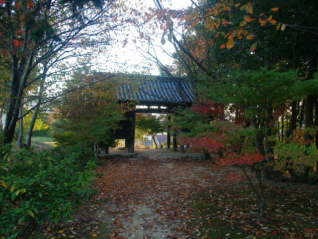 c0050380_18295824.jpg