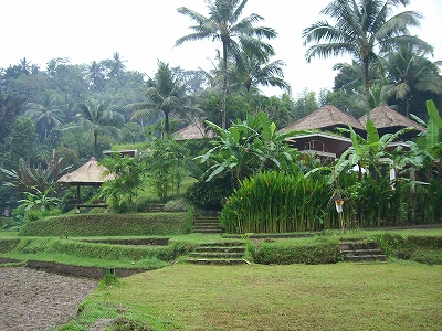 b0101284_23195427.jpg