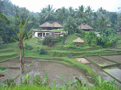 b0101284_2324517.jpg