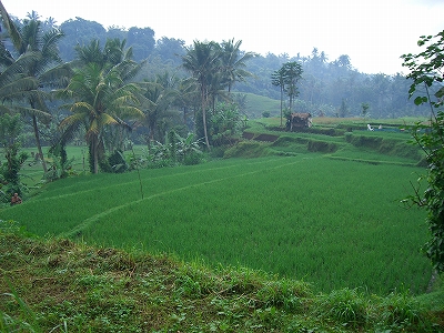 b0101284_23263053.jpg