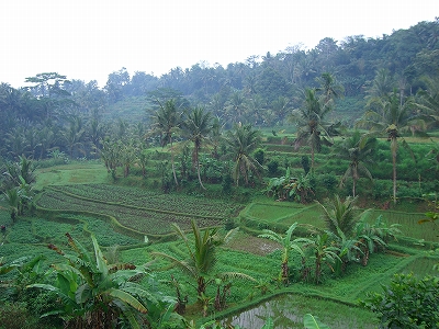 b0101284_23285683.jpg
