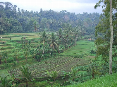 b0101284_23293591.jpg