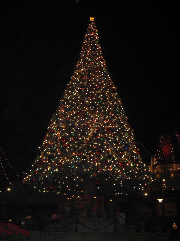 c0149788_1114298.jpg