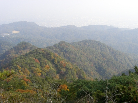 f0121293_10255868.jpg