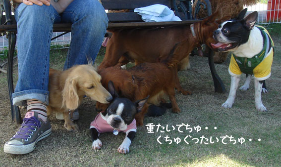c0094999_14101.jpg