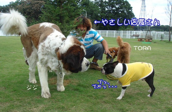 c0094999_1412989.jpg