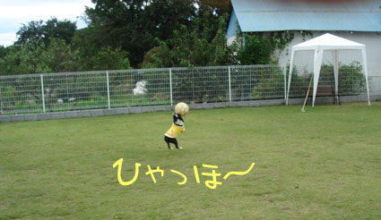 c0094999_1493375.jpg
