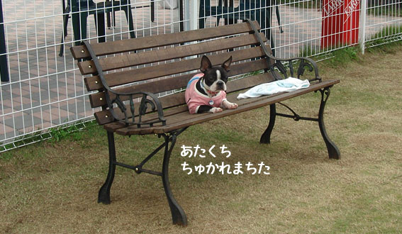 c0094999_156729.jpg