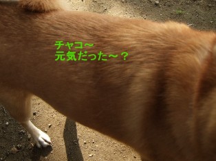 b0087400_062648.jpg
