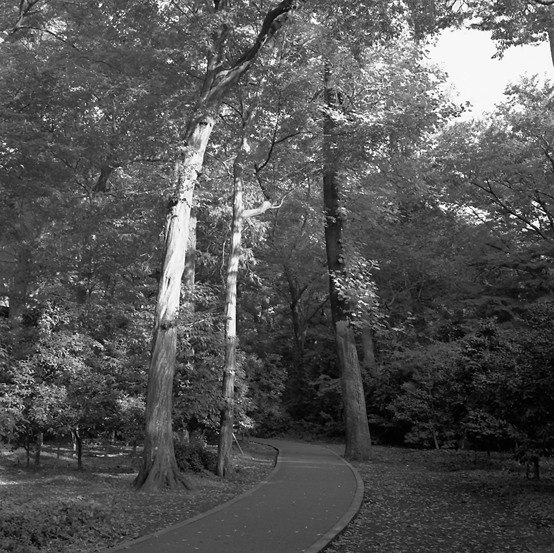 f0109201_188141.jpg