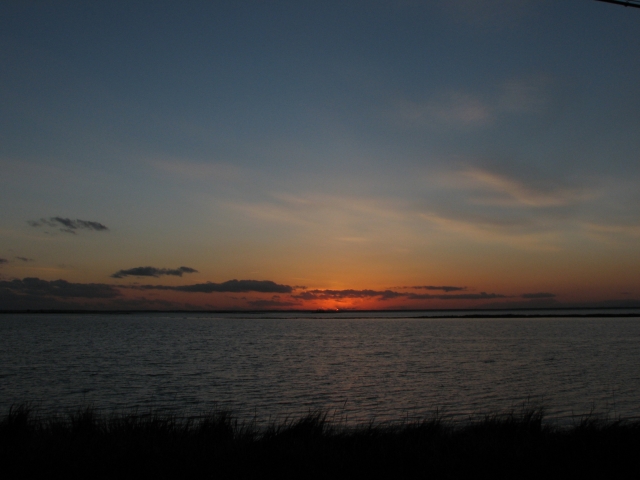 f0020302_21263248.jpg