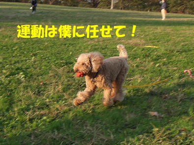c0112203_23403651.jpg