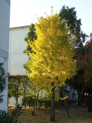 d0018704_2125861.jpg