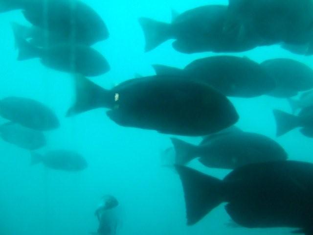 c0133013_2240497.jpg