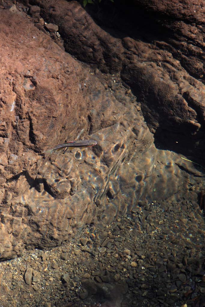 d0085715_23364975.jpg