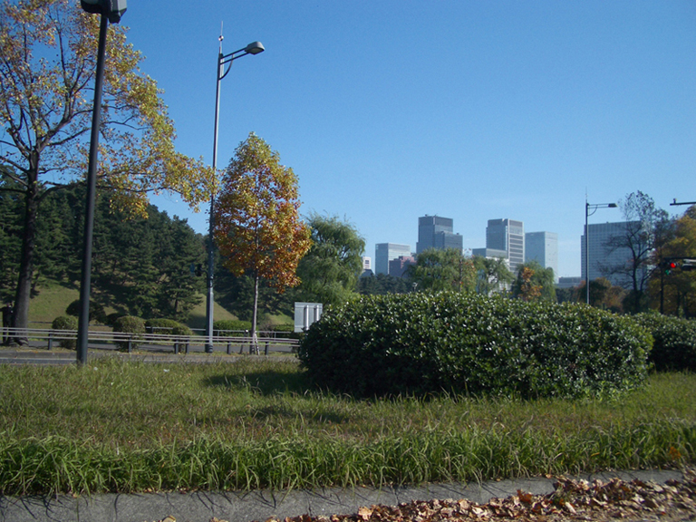 b0111116_23565267.jpg