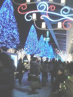 d0114517_17153693.jpg