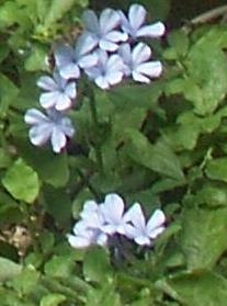 a0053420_002352.jpg