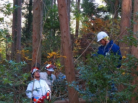 e0002820_1931132.jpg