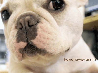 f0155120_15205100.gif