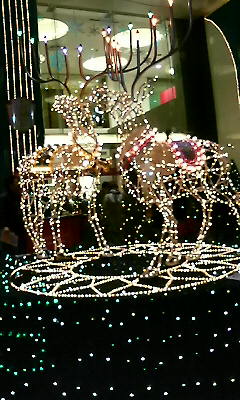 c0054121_21345478.jpg