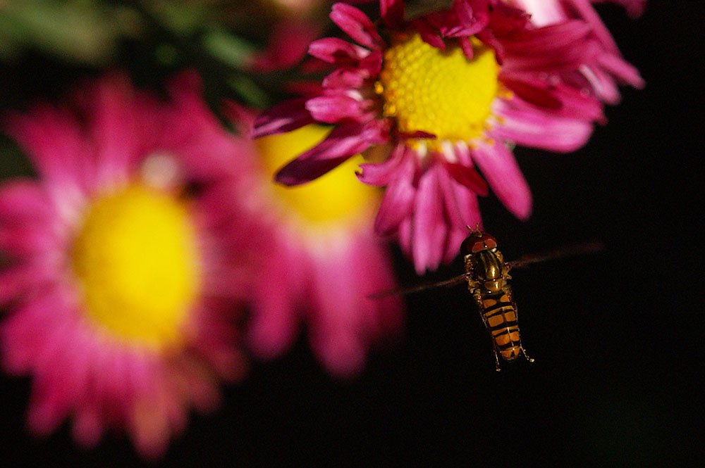 d0089024_14525224.jpg