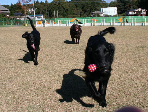 f0066824_058353.jpg