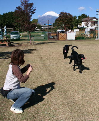 f0066824_0584169.jpg