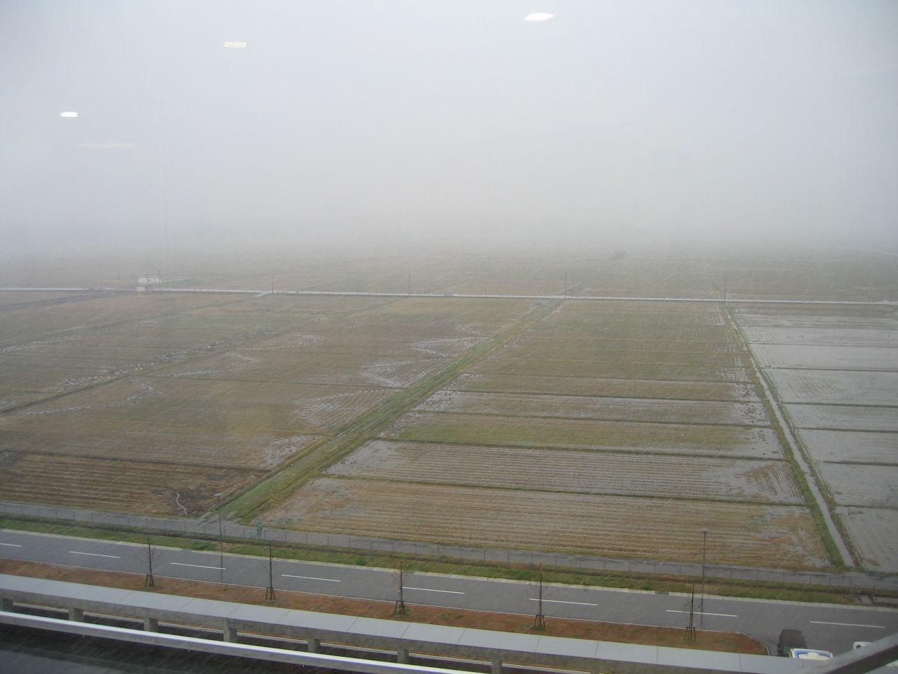 b0119425_1653920.jpg