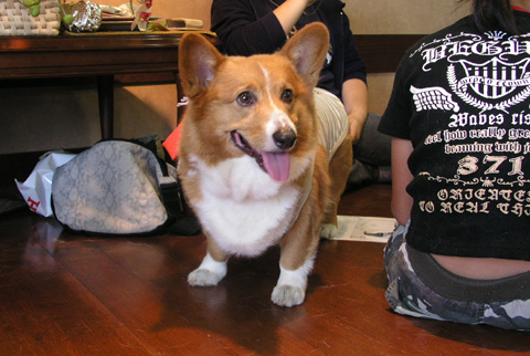 e0071225_114478.jpg