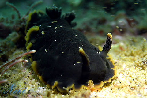 b0044726_0444324.jpg