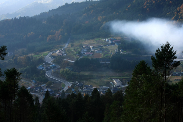 f0081726_8503792.jpg