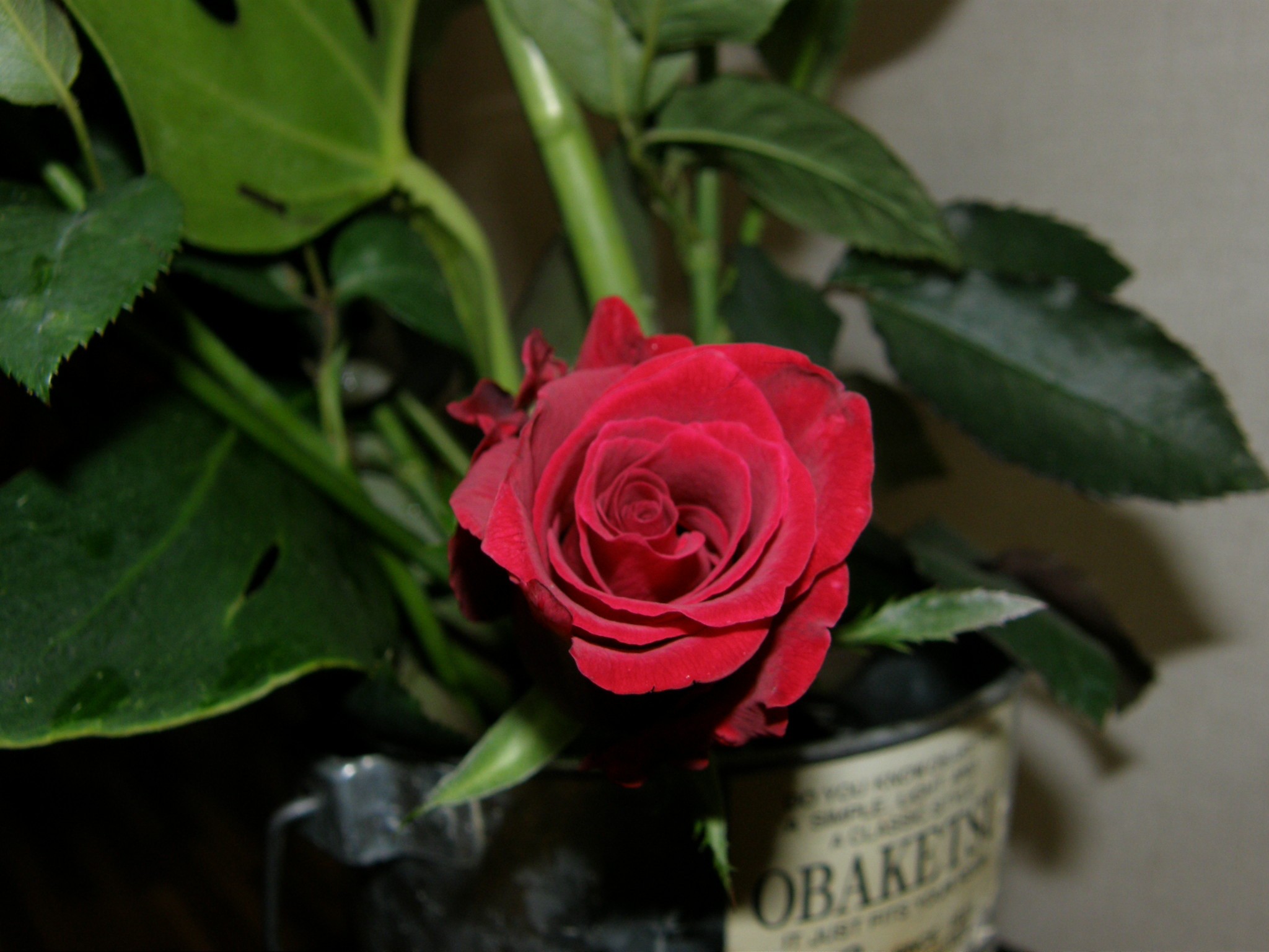 c0034029_2228062.jpg