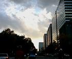 c0051529_23153652.jpg