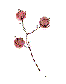 f0083830_973531.gif