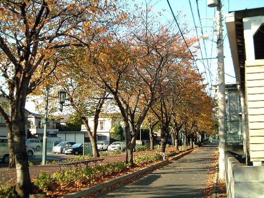 e0091334_2072186.jpg