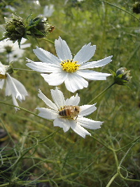 f0082141_0591453.jpg