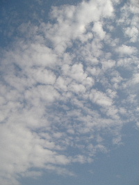 f0082141_1125089.jpg