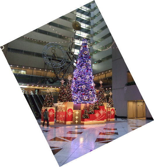 11月18日NSビルのクリスマスツリー