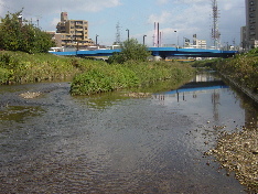 d0129745_13111897.jpg