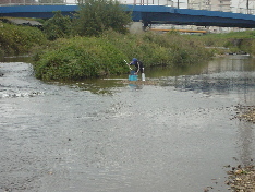 d0129745_13115439.jpg