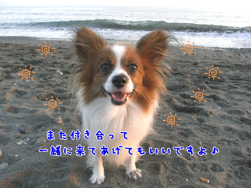 d0013149_026425.jpg