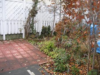a0075455_850620.jpg