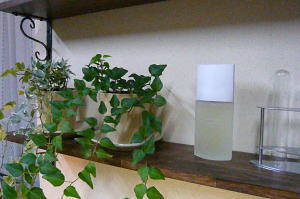 c0131959_19305654.jpg