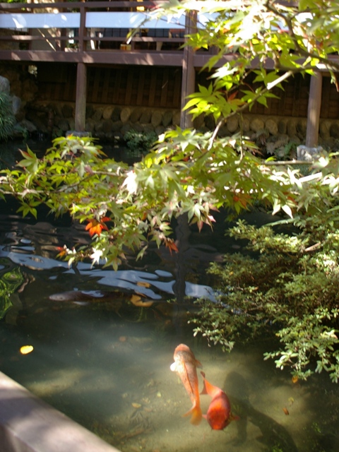 d0074259_15201082.jpg