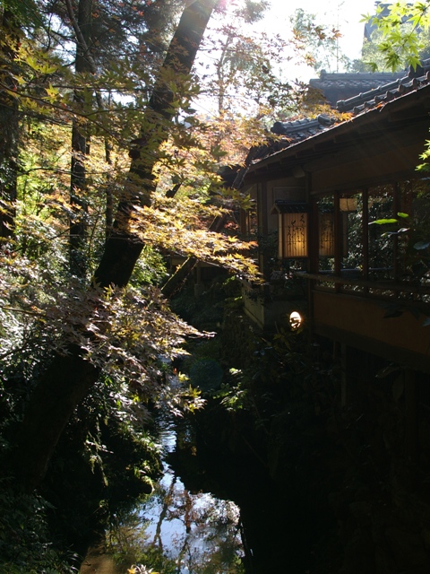 d0074259_15304110.jpg
