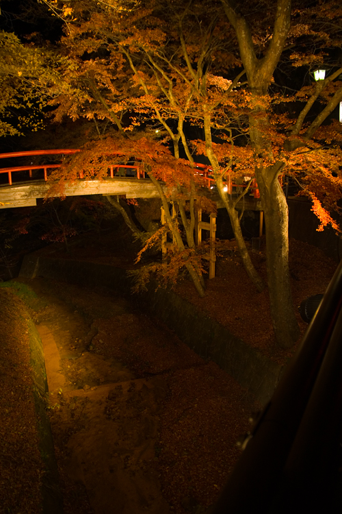c0114161_18572877.jpg